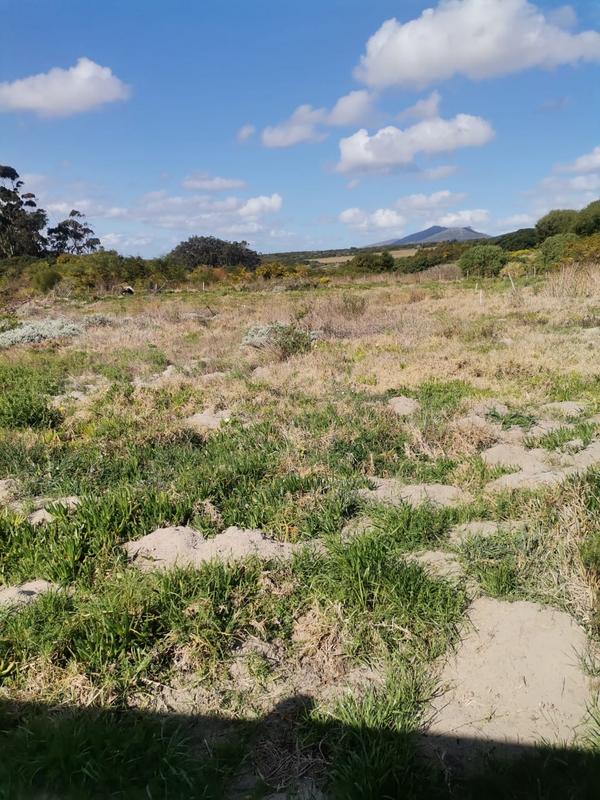 0 Bedroom Property for Sale in Albertinia Western Cape